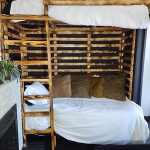 Bunk Bed Mixed Dormitory Room